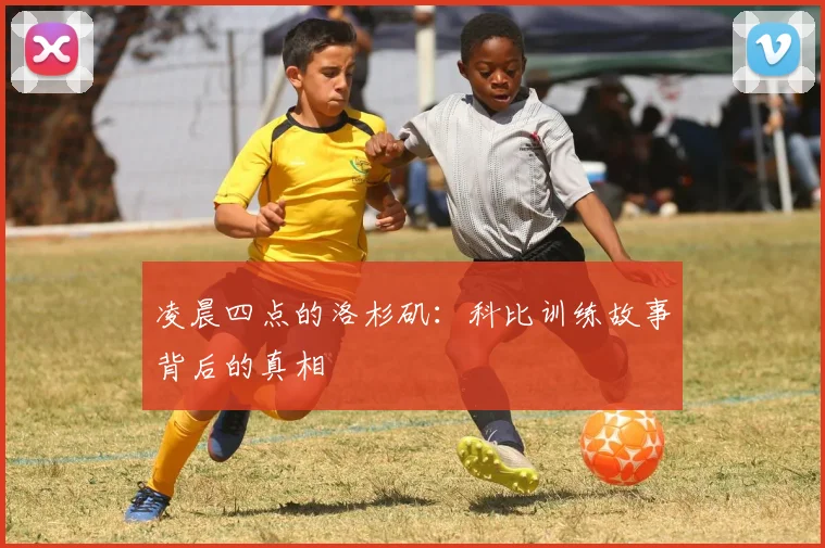 凌晨四点的洛杉矶：科比训练故事背后的真相