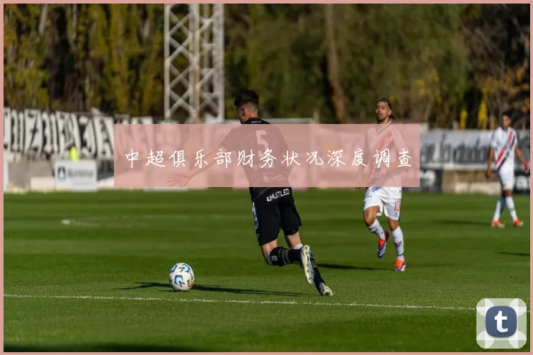 中超俱乐部财务状况深度调查
