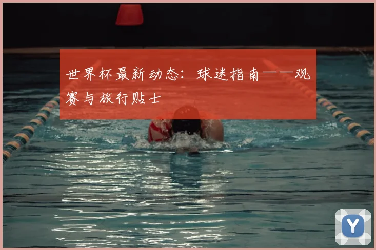 世界杯最新动态：球迷指南——观赛与旅行贴士
